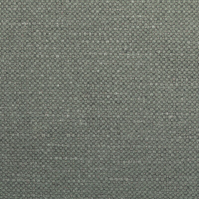 KRAVET BASICS 36282.2111.0 CARSON RHINO Fabric - Eade's Wallpaper