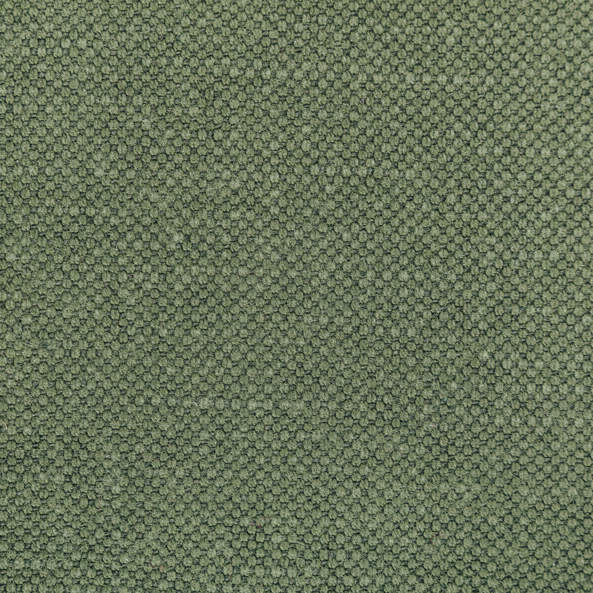 KRAVET BASICS 36282.30.0 CARSON OLIVE Fabric - Eade's Wallpaper