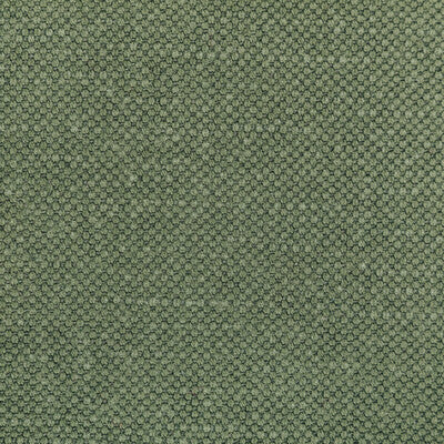 KRAVET BASICS 36282.30.0 CARSON OLIVE Fabric - Eade's Wallpaper