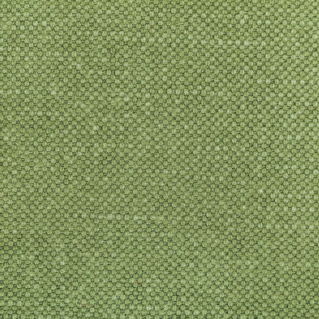 KRAVET BASICS 36282.314.0 CARSON FROG Fabric - Eade's Wallpaper