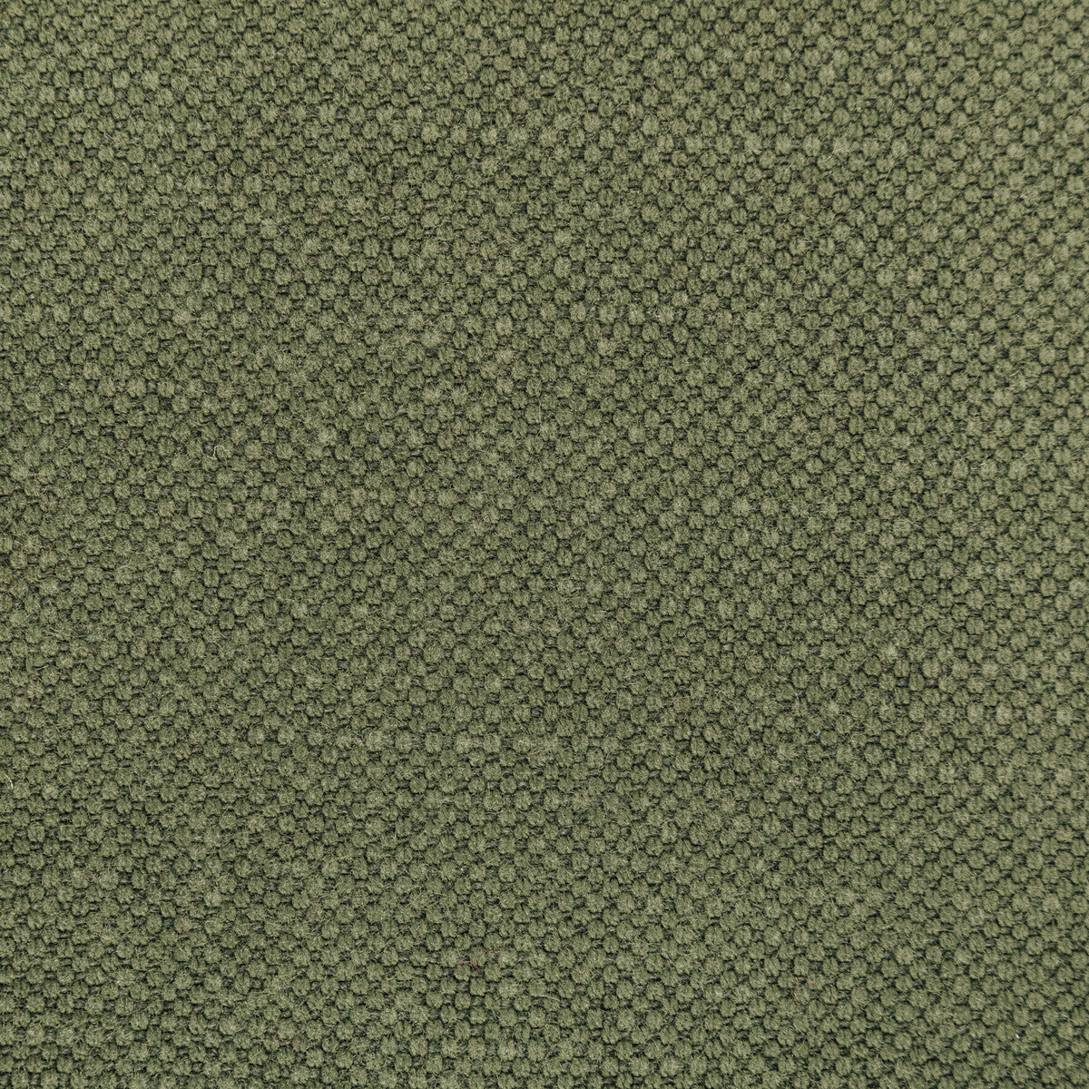 KRAVET BASICS 36282.323.0 CARSON PINE Fabric - Eade's Wallpaper
