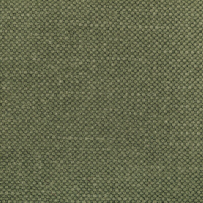 KRAVET BASICS 36282.323.0 CARSON PINE Fabric - Eade's Wallpaper