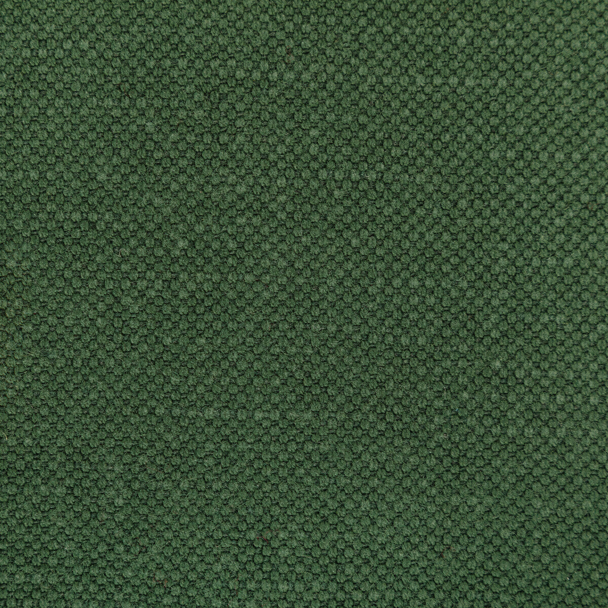 KRAVET BASICS 36282.350.0 CARSON ENVY Fabric - Eade's Wallpaper