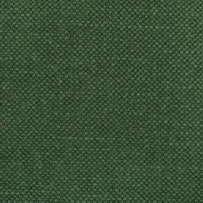 KRAVET BASICS 36282.350.0 CARSON ENVY Fabric - Eade's Wallpaper