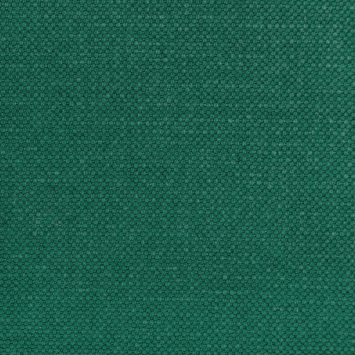 KRAVET BASICS 36282.353.0 CARSON GARDEN Fabric - Eade's Wallpaper
