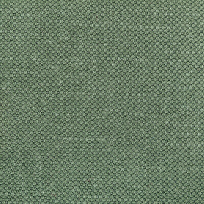 KRAVET BASICS 36282.3535.0 CARSON RELISH Fabric - Eade's Wallpaper