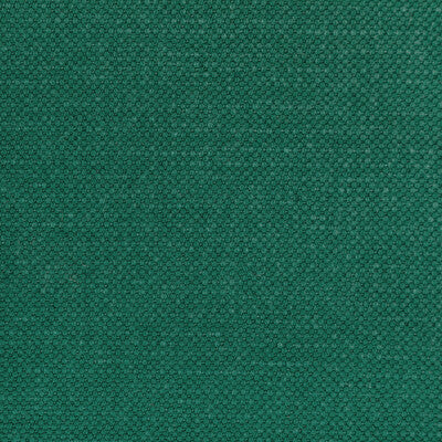 KRAVET BASICS 36282.353.0 CARSON GARDEN Fabric - Eade's Wallpaper
