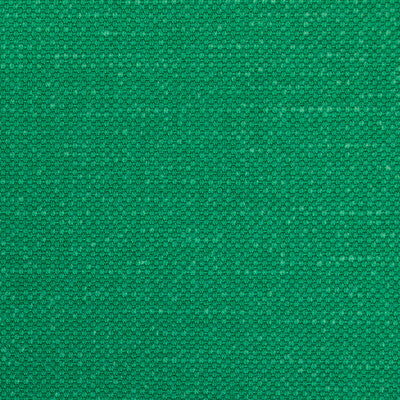 KRAVET BASICS 36282.3.0 CARSON SHAMROCK Fabric - Eade's Wallpaper