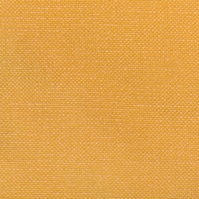 KRAVET BASICS 36282.4.0 CARSON HONEY Fabric - Eade's Wallpaper