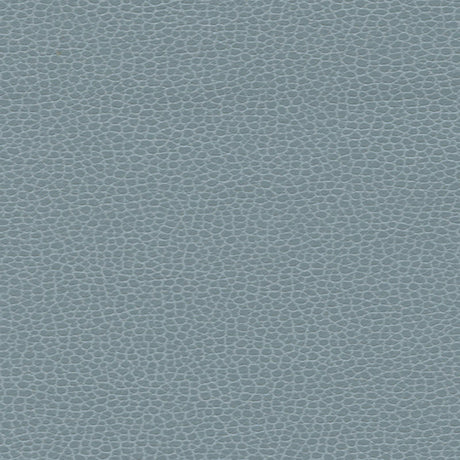 Schumacher 363-2695 PROMESSA in AQUAMARINE Fabric - ULTRALEA