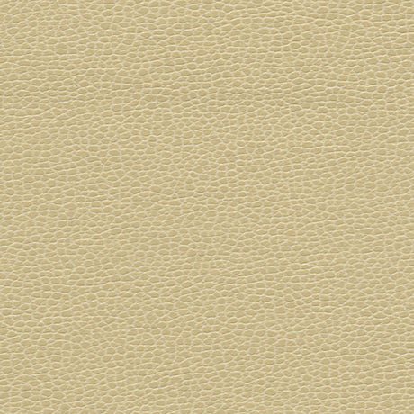 Schumacher 363-3036 PROMESSA in LINEN Fabric - ULTRALEATHER