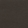 Schumacher 363-3037 PROMESSA in HORSEHAIR Fabric - ULTRALEAT