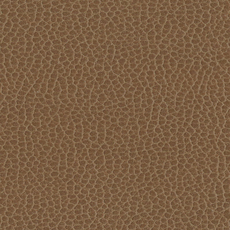 Schumacher 363-3141 PROMESSA in FIELDS Fabric - ULTRALEATHER