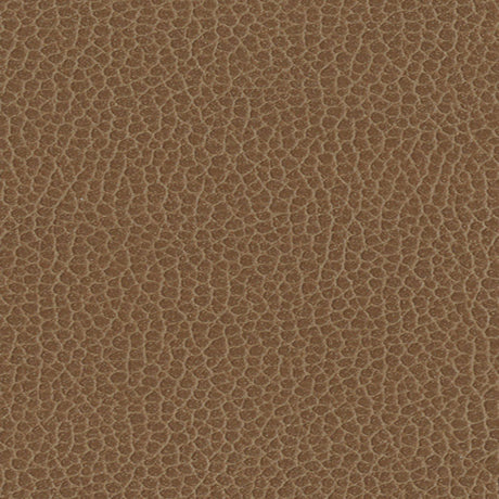 Schumacher 363-3141 PROMESSA in FIELDS Fabric - ULTRALEATHER