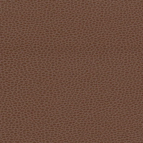 Schumacher 363-3143 PROMESSA in TUDOR Fabric - ULTRALEATHER
