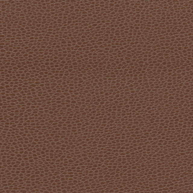Schumacher 363-3143 PROMESSA in TUDOR Fabric - ULTRALEATHER