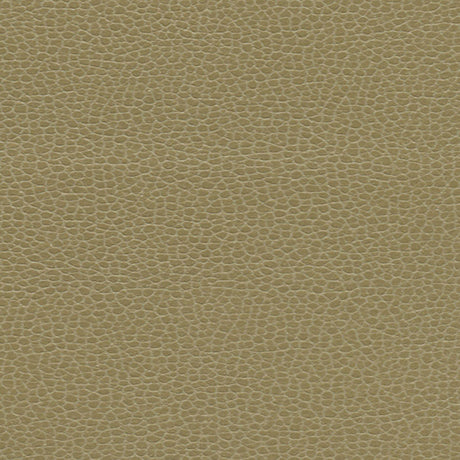 Schumacher 363-3148 PROMESSA in BRIARWOOD Fabric - ULTRALEAT