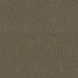 Schumacher 363-3462 PROMESSA in WOODPECKER Fabric - ULTRALEA