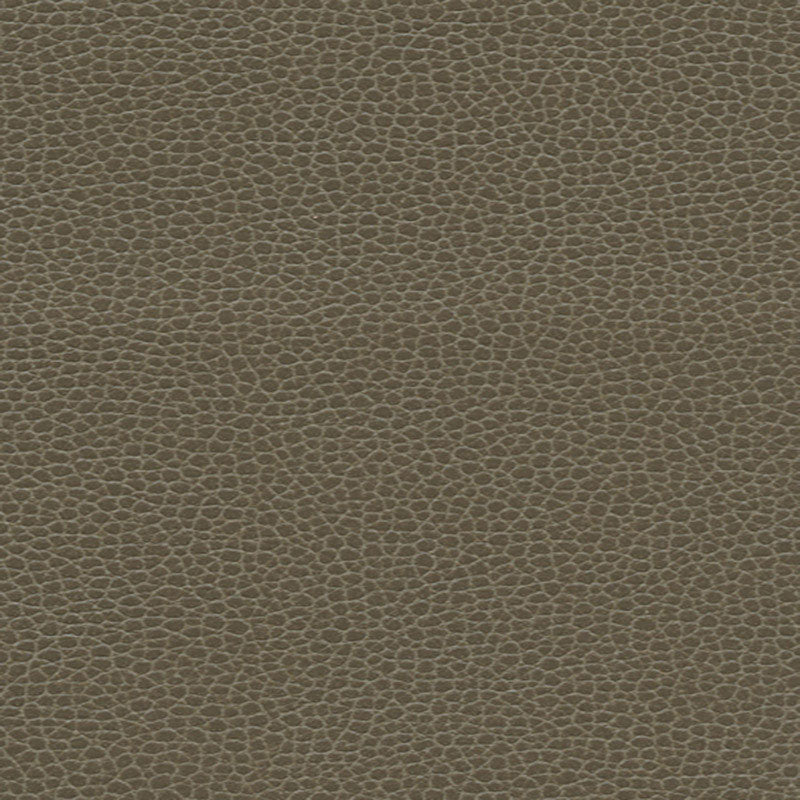 Schumacher 363-3462 PROMESSA in WOODPECKER Fabric - ULTRALEA