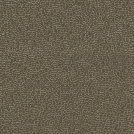 Schumacher 363-3462 PROMESSA in WOODPECKER Fabric - ULTRALEA