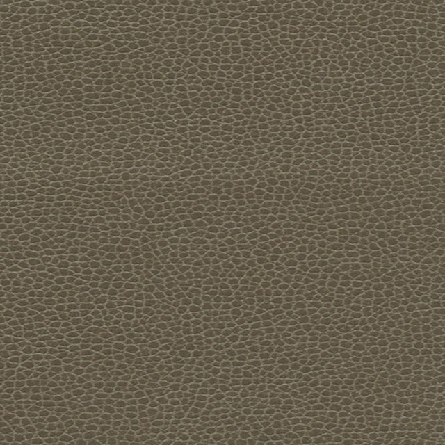Schumacher 363-3462 PROMESSA in WOODPECKER Fabric - ULTRALEA