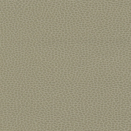 Schumacher 363-3463 PROMESSA in TAUPE Fabric - ULTRALEATHER