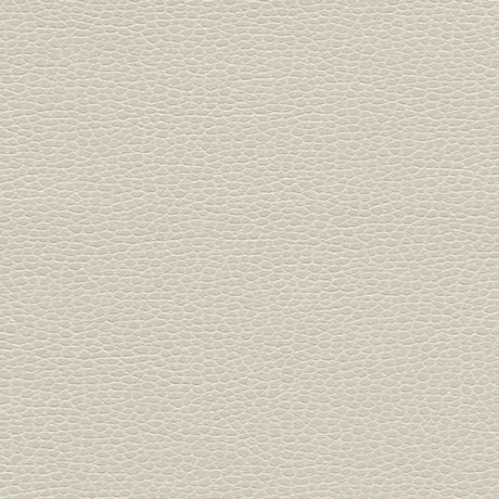 Schumacher 363-3464 PROMESSA in TUSK Fabric - ULTRALEATHER
