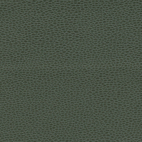 Schumacher 363-4516 PROMESSA in HUNTER Fabric - ULTRALEATHER