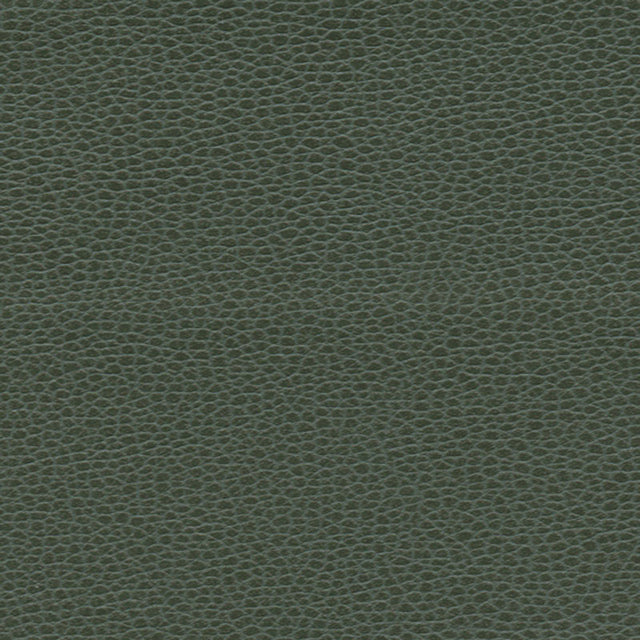 Schumacher 363-4516 PROMESSA in HUNTER Fabric - ULTRALEATHER