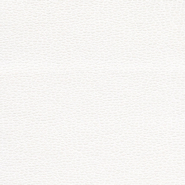 Schumacher 363-5715 PROMESSA in SNOW Fabric - ULTRALEATHER