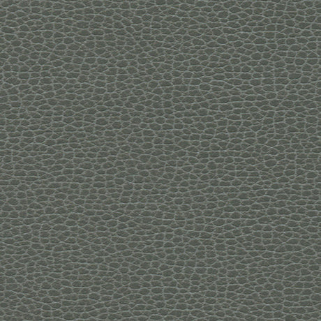 Schumacher 363-5817 PROMESSA in SHALE Fabric - ULTRALEATHER