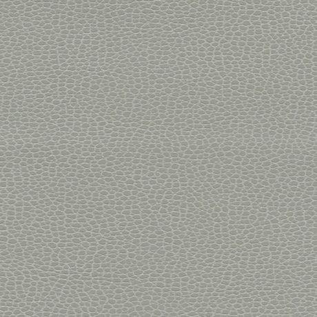 Schumacher 363-5818 PROMESSA in ASH Fabric - ULTRALEATHER