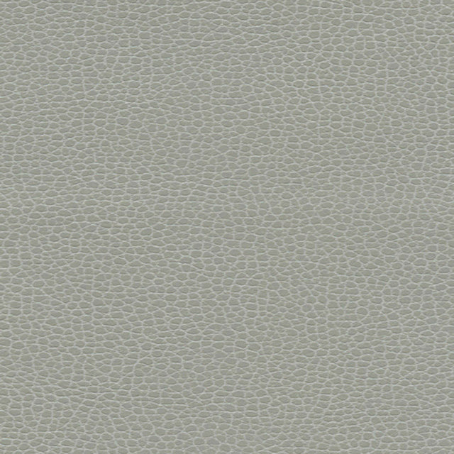 Schumacher 363-5818 PROMESSA in ASH Fabric - ULTRALEATHER