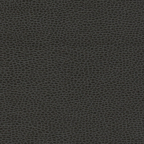 Schumacher 363-5845 PROMESSA in EBONY Fabric - ULTRALEATHER