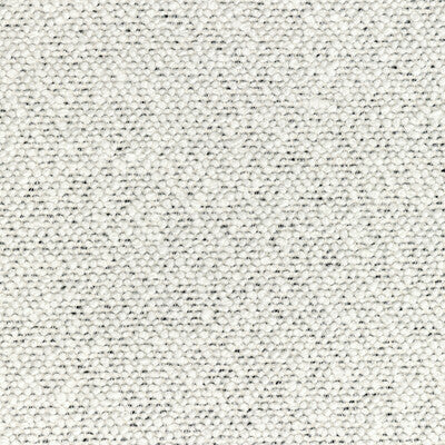 KRAVET COUTURE 36329.1.0 COSMIC PLUSH IVORY NOIR Fabric - Eade's Wallpaper