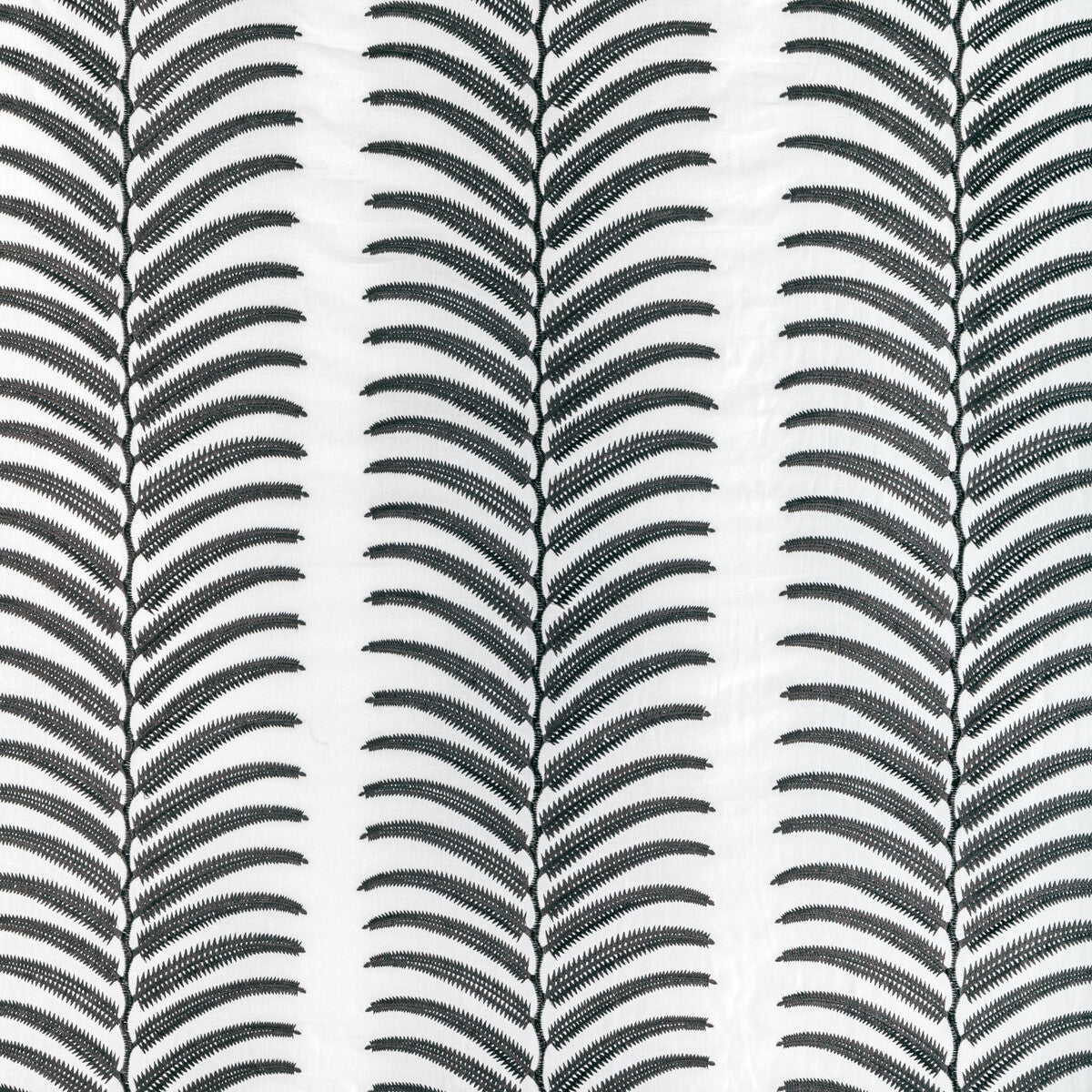 KRAVET COUTURE 36344.81.0 PLANTAE NOIR Fabric - Eade's Wallpaper