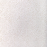 KRAVET COUTURE 36349.101.0 STARFALL IVORY SILVER Fabric - Eade's Wallpaper