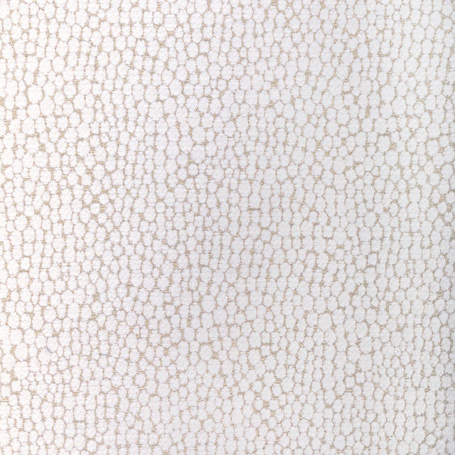 KRAVET COUTURE 36349.101.0 STARFALL IVORY SILVER Fabric - Eade's Wallpaper