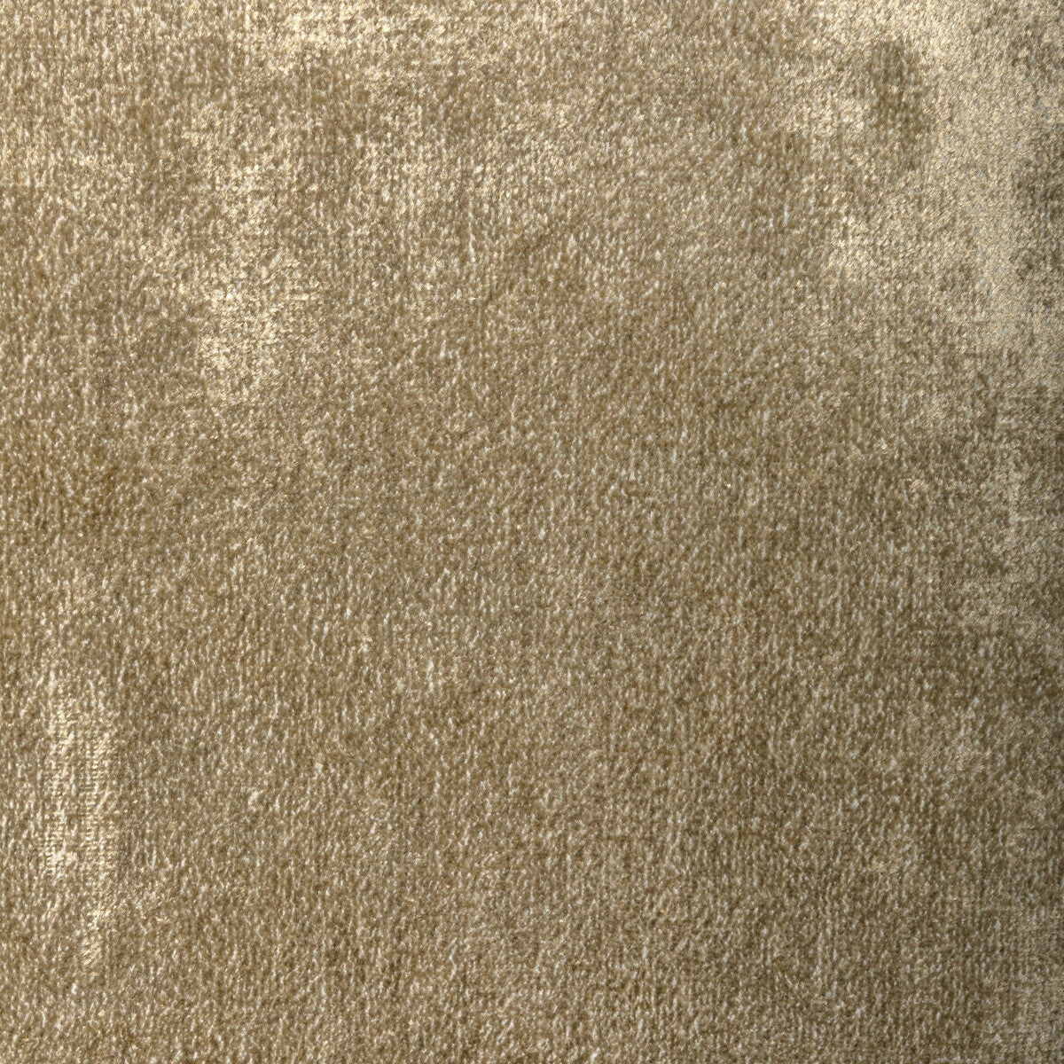 KRAVET COUTURE 36351.16.0 PLUSH NOVA GOLD Fabric - Eade's Wallpaper