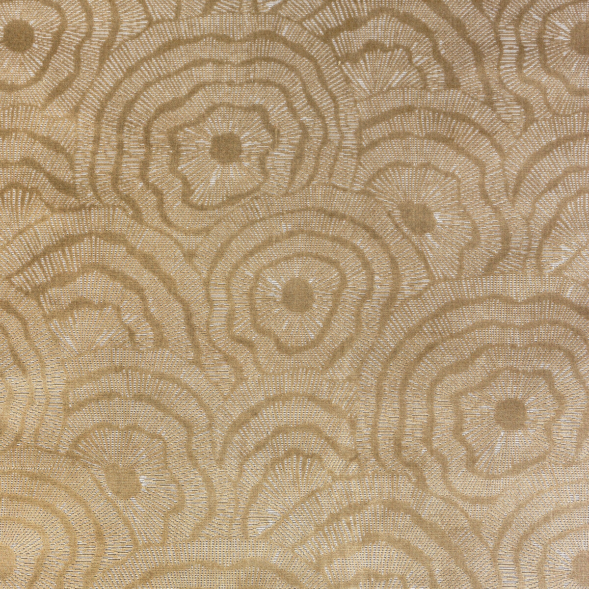 KRAVET COUTURE 36366.416.0 PANACHE VELVET GOLD Fabric - Eade's Wallpaper