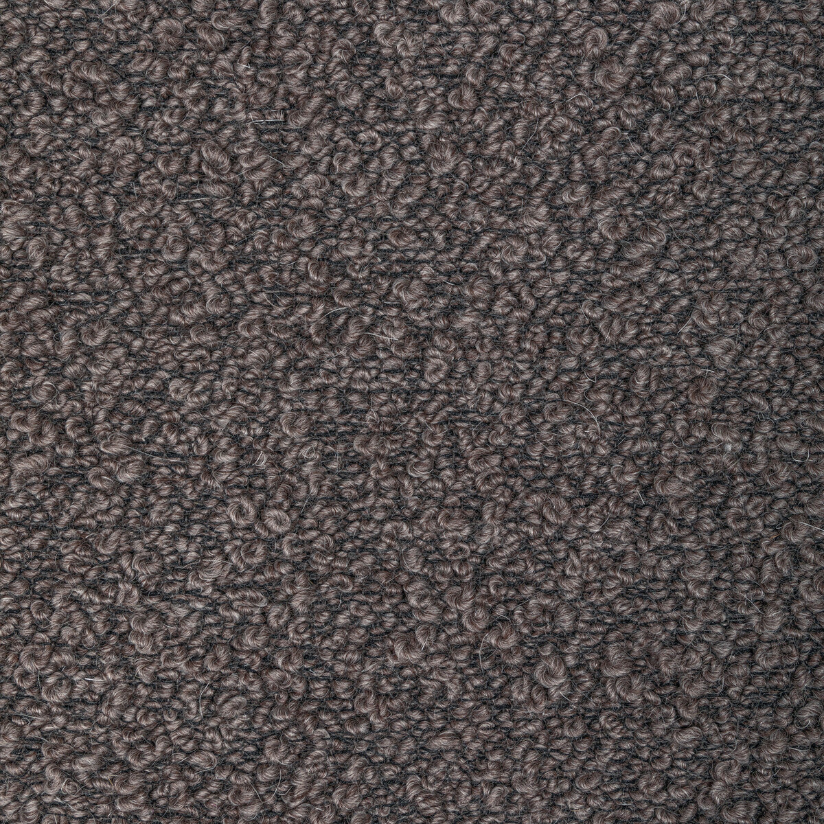 KRAVET COUTURE 36396.21.0 WOOLYWOOLY FIG Fabric - Eade's Wallpaper