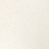 KRAVET DESIGN 36421.1001.0 KRAVET DESIGN 36421-1001 Fabric - Eade's Wallpaper
