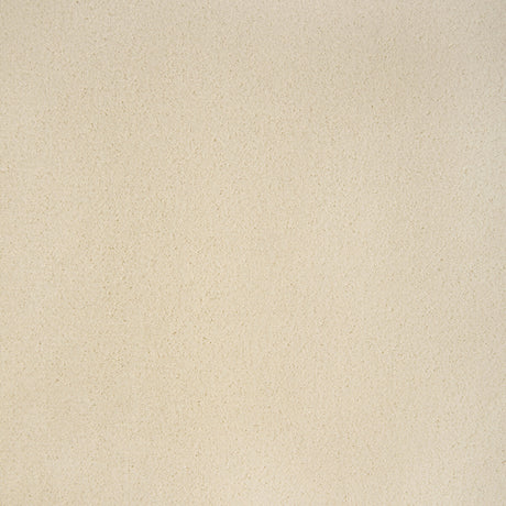 KRAVET CONTRACT 36543.1.0 FOMO COCONUT Fabric - Eade's Wallpaper