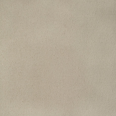 KRAVET CONTRACT 36543.116.0 FOMO AU LAIT Fabric - Eade's Wallpaper