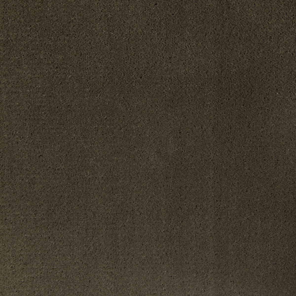 KRAVET CONTRACT 36543.606.0 FOMO ETRUSCAN Fabric - Eade's Wallpaper