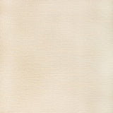 KRAVET CONTRACT 36569.1.0 RECOUP SANDBAR Fabric - Eade's Wallpaper