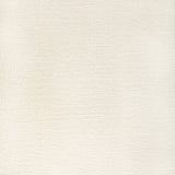 KRAVET CONTRACT 36569.101.0 RECOUP SEA SALT Fabric - Eade's Wallpaper