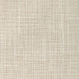 KRAVET COUTURE 36574.416.0 SOFT LIGHTS CHAMPAGNE Fabric - Eade's Wallpaper