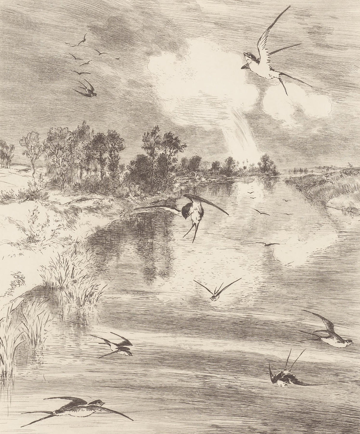 Eijffinger 366101 Hirundo Cream Wall Mural