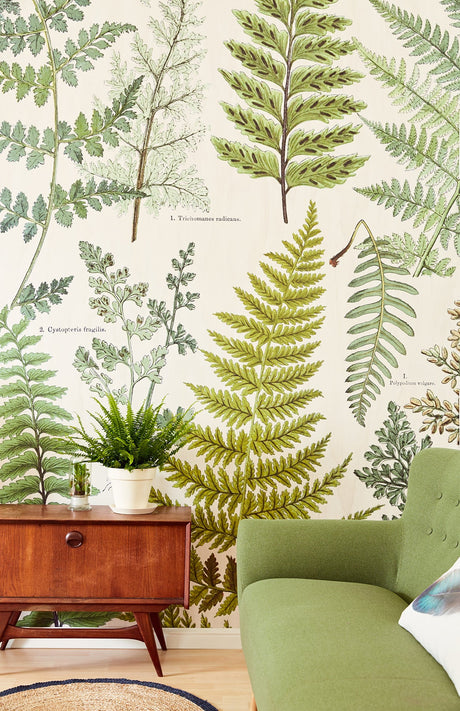 Eijffinger 366104 Herbarium Green Wall Mural